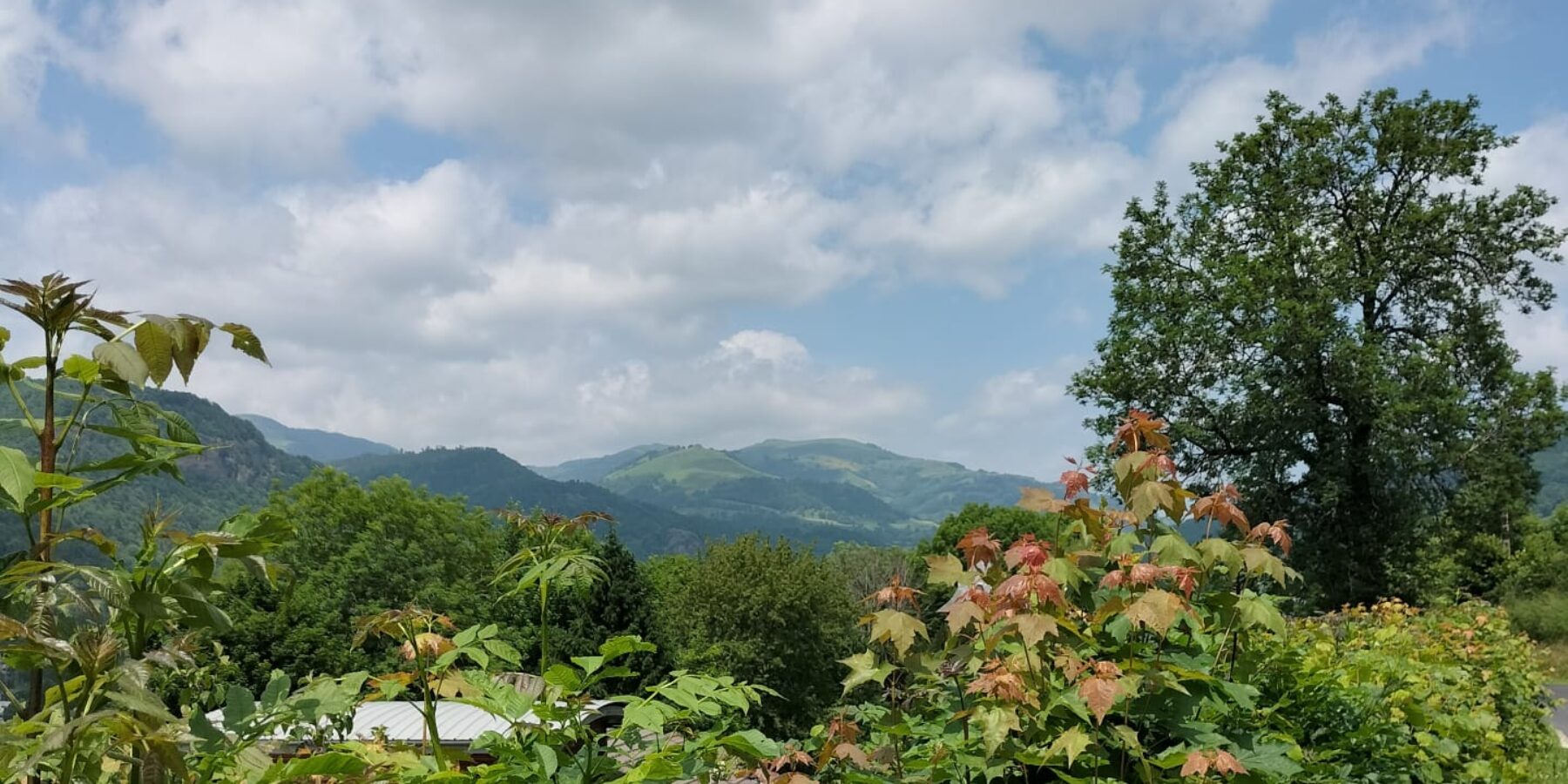 Balade depuis la Maison du Chevalier des Huttes au dessus de Vic sur Cère (Auvergne Rhone Alpes, Cantal, France)