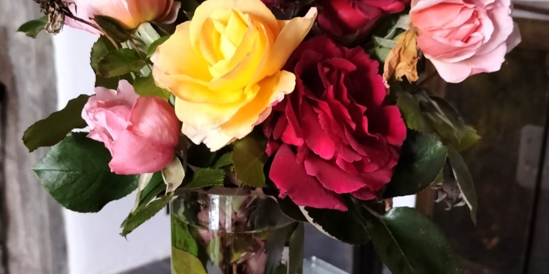 Bouquet d'automne du jardin la Maison du Chevalier des Huttes à Vic sur Cère (Auvergne Rhone Alpes, Cantal, France)